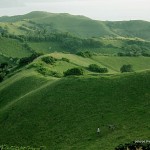 Vayang Rolling Hills