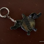 Turtle Keychain from Batanes (given to me by Al)