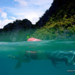 Snorkeling at Skeleton Wreck