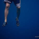 Clear Water at Barracuda Lake