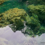 Rocks and Fishes in Kayangan Lake