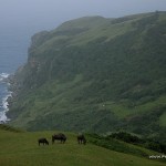 Racuh A Payaman (Marlboro Country)