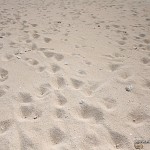Sand at Nakabuang Beach 