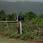 Old Loran Station Marker