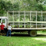 Calauit Safari Park Tour Truck