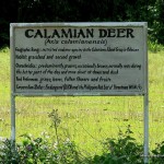 Calamian Deer Signage - Calauit Safari Park