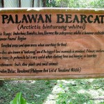 Palawan Bearcat Signage - Calauit Safari Park