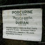 Porcupine Signage - Calauit Safari Park