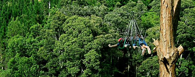 this is Experience Zip Line at Camp Sabros, Davao Del Sur