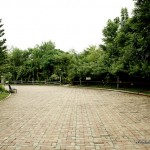 Davao People's Park - Walkway 