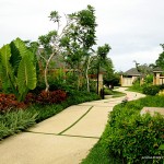 Amorita Resort - Walkway