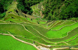 A Peek of Banaue Rice Terraces in Ifugao