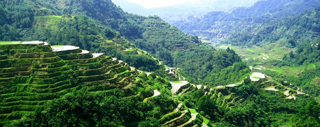 this is A Peek of Banaue Rice Terraces in Ifugao