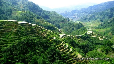 Banaue Rice Terraces in Ifugao