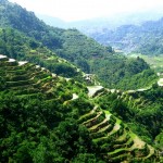 Banaue Rice Terraces in Ifugao