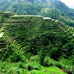 Banaue Rice Terraces in Ifugao