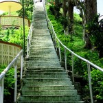 Stairs going to the Chocolate Hills View Deck