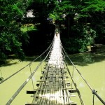 Bohol - Hanging Bridge