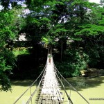 Bohol - Hanging Bridge
