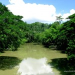 View of Loboc River from the Hanging Bridge