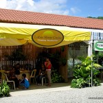 Loboc River Cruise in Bohol