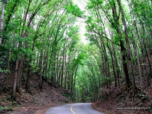 Exploring the Wonders of Bohol