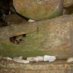 Coffin at Lumiang Cave in Sagada