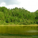 Lake Danum in Sagada