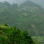 Rice terraces at Kiltepan Viewpoint