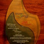 Pasyalera wins DigitalFilipino Web Awards 2009